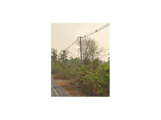 ขายที่ดิน นส3 ก. 160 ไร่ ติดทางหลวง มีไฟฟ้า สามเฟสพร้อม