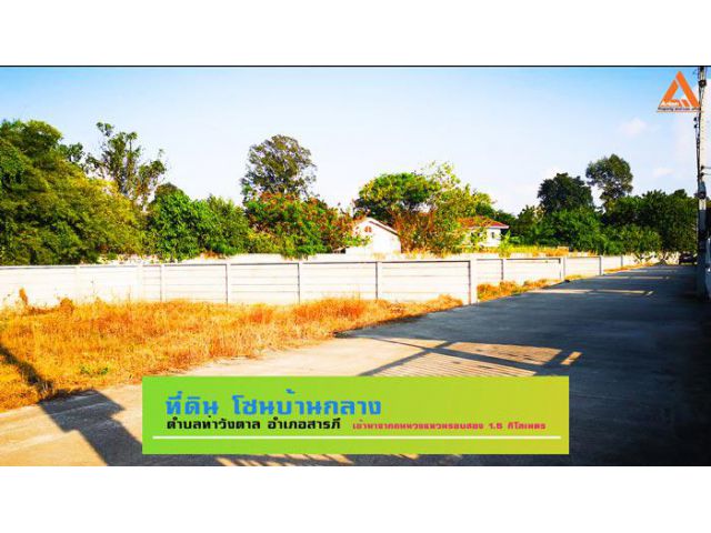 ขายที่ดิน โซนบ้านกลาง ตำบลท่าวังตาล อำเภอสารภี