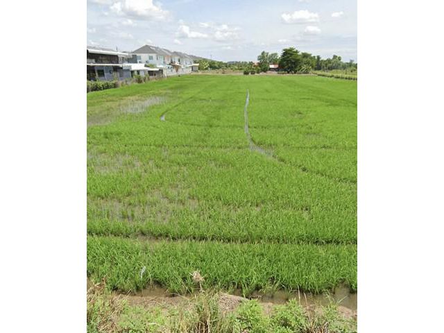ขายที่ดิน ติดถนน ใกล้มหาลัยราชมงคล ธัญบุรี คลอง6
