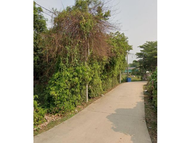 ขายที่ดิน  200 ตรว. ใกล้ห้าง 1.3 กม.