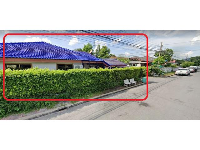 บอน บ้านเดี่ยว รพ.สินแพทย์ รามอินทรา91