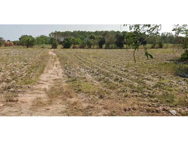 ให้เช่าที่ดินเปล่า 21 ไร่ พื้นที่สีม่วงลาย ระยอง