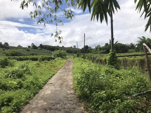 ที่ดินกาญจนบุรี วิวเขา มีลำธารท้ายแปลง 4-1-0 ไร่