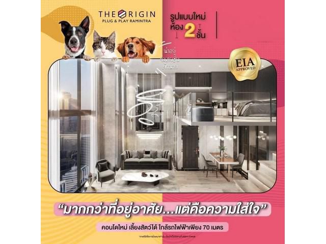 ขายดาวน์ The Origin Plug & Play Ramintra