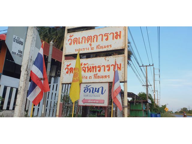 สวนผสม เก็บผลผลิตได้ทุกต้น ที่โฉนด ดินดี เห็นวิวเขา