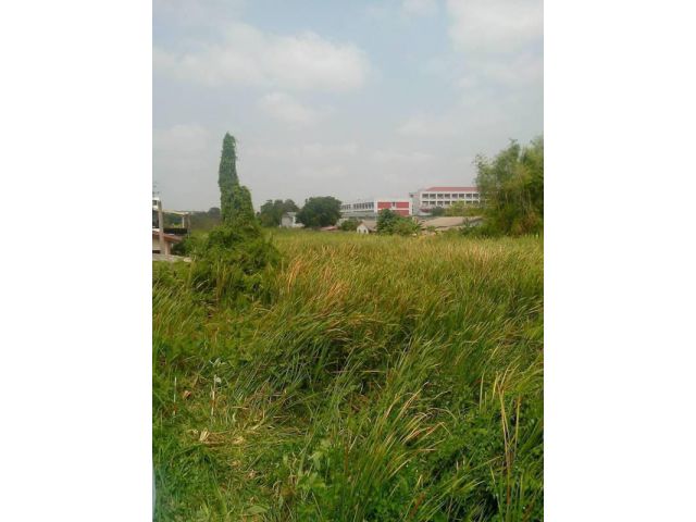 ขายที่ดินในราคาประเมิน ที่ดินเปล่าใจกลางดอนเมือง ถนนสรงประภา แขวง/เขตดอนเมือง