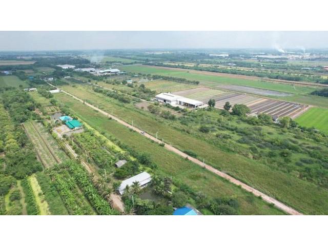 ที่ดินแบ่งขาย ไทรน้อย-นนบุรี กับทำเลคุณภาพ