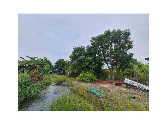 ขาย ที่ดิน เหมาะทำสวนเกษตร อำเภอไทรน้อย นนทบุรี