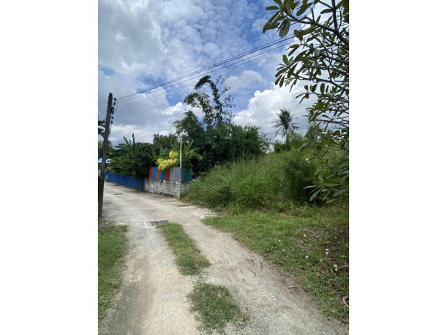 ที่ดิน 320 ตรว.หนองข้างคอก ใกล้ถนนหลัก 60 ม.