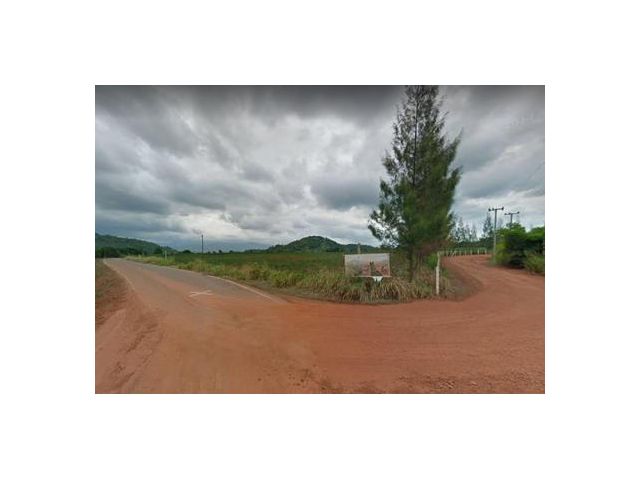 ขายที่ดิน ขนงพระ ปากช่อง 19-2-73 ไร่ 30.9ล้าน