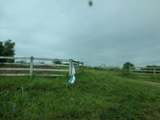 ขายที่ดิน 20 ไร่ ตำบลวังน้ำเขียว อำเภอวังน้ำเขียว จังหวัดนครราชสีมา ที่ดินเป็นเนินเห็นเขาวิวสวย