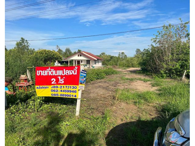 ขาย/ให้เช่า ที่ดินติดถนน 3422 เนื้อที่ 2 ไร่