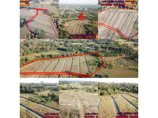 ขายที่ดินวิวเขา บรรยากาศดี เหมาะสำหรับทำสวน ทำบ้านพักตากอากาศ  ตำบลดงบัง อำเภอประจันตคาม