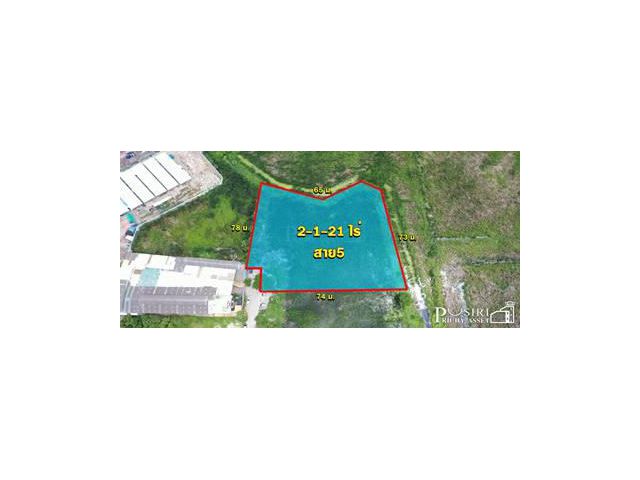 แปลงสุดท้าย ที่สวยในพื้นที่สีม่วง 2 ไร่เศษ ถูกเกือบเท่ากับราคาประเมิน ไฟฟ้า ประปาพร้อม แถมเดินทางสะดวกใกล้สาย 5 - KK1348