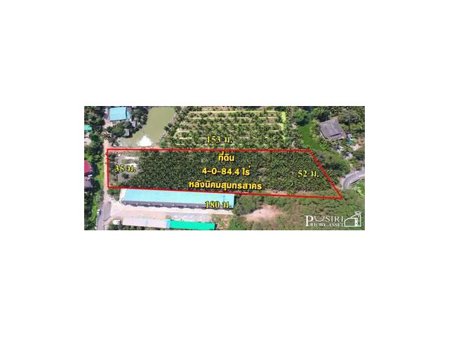 ขายที่สวย 4ไร่เศษ ทำเลทอง หลังนิคมสุทรสาคร ลงตัวทั้งทำโรงงานและกิจการหอพัก ราคาพิเศษ - KK3983S