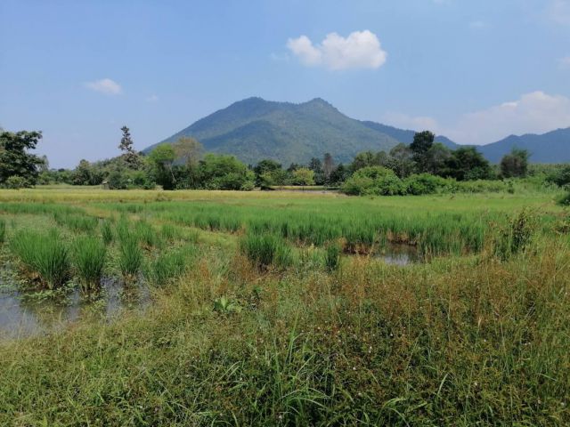 ขายที่ดินสำหรับทำบ้านสวนโคกหนองนา 4 ไร่ 2 งานเศษ