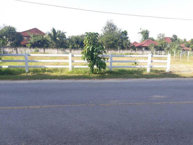 ขายที่ดินใกล้ รพ.สันทราย เนื้อที่ 200 ตรว. ทำเลสวยเดินทางสะดวก ถูก