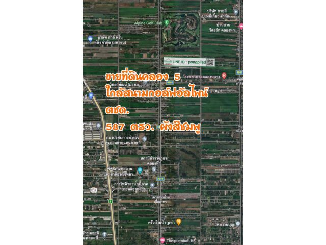 ขายที่ดินคลอง 5 ใกล้สนามกอล์ฟอัลไพน์ ตชด. 587 ตรว. ผังสีชมพู