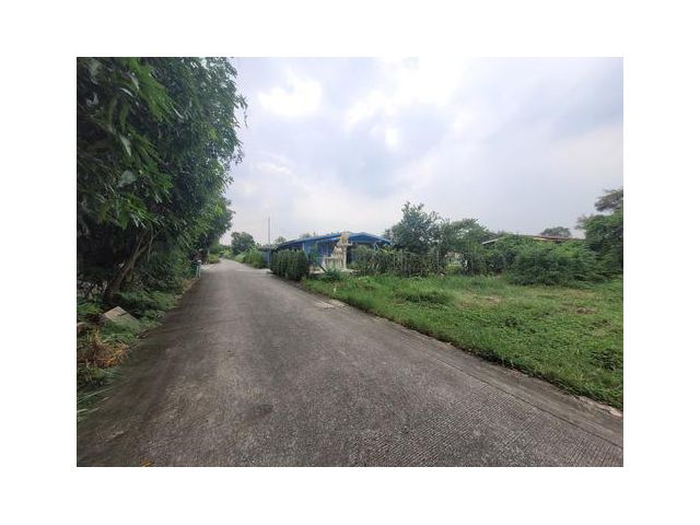 ขายที่ดิน ซ.วัดลาดปลาดุก  ขนาด 2 งาน