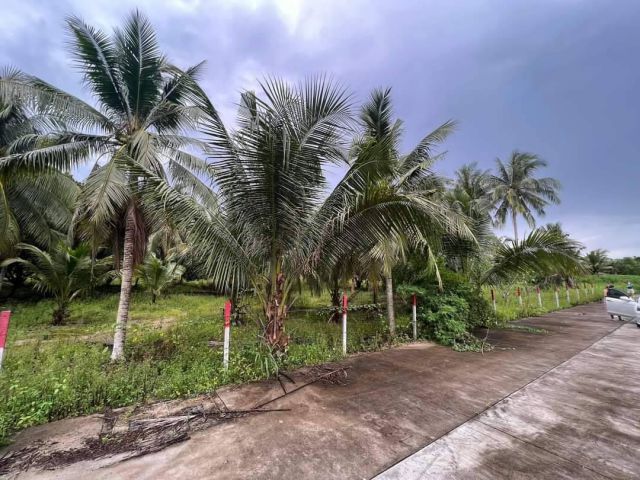 ขายที่ดินเขาคันทรง 9.5 ไร่ ติดถนนคอนกรีต ใกล้โรงเรียนบ้านหุบบอน - 3.8 กม. อ.ศรีราชา จ.ชลบุรี