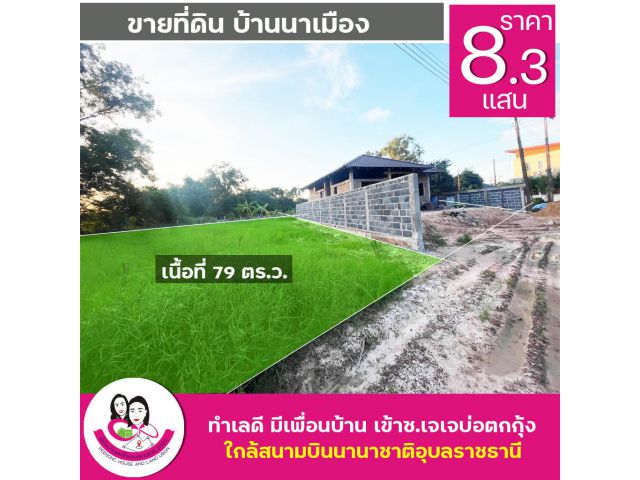 ขายที่ดินเปล่าบ้านนาเมือง ใกล้สนามบินนานาชาติ