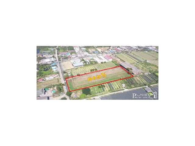 ขายที่อนาคตดี 10ไร่ ในราคาโปรโมชั่น ใกล้แนวขยายเส้นกัลปพฤกษ์ ติด ถ.เลียบคลองหมื่นปรารมย์ ใกล้สายสี่ตัดใหม่-บางบอน 5