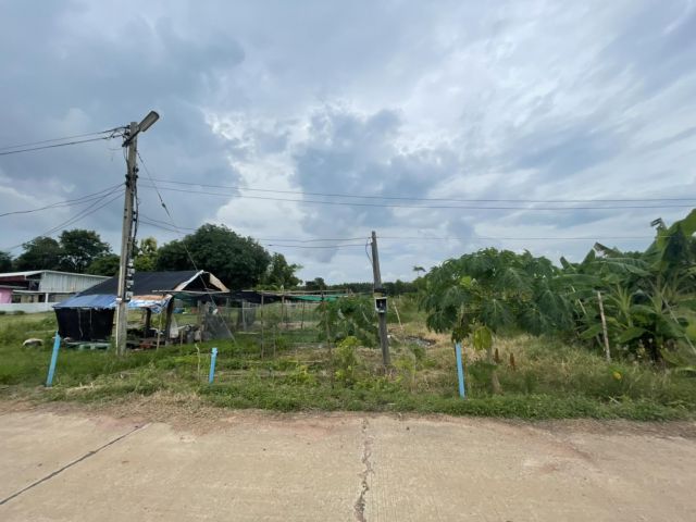ขายที่ดินสีม่วงศรีมหาโพธิ์ 4 ไร่ ติดถนนคอนกรีต ใกล้นิคมโรจนะปราจีนบุรี - 2.1 กม. จ.ปราจีนบุรี
