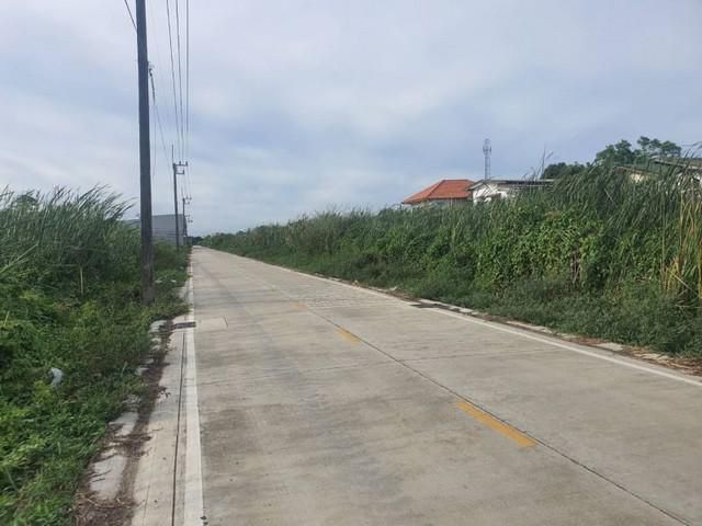ขายด่วน ๆ ขายที่ดินแปลงสวย 100ตรวคลองหลวง
