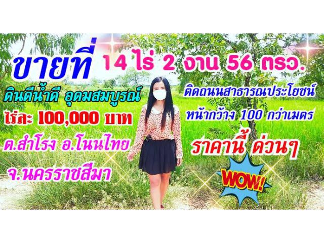 ขายที่นาราคาถูกมาก โนนไทย เหมาะกับทำบ้านสวนเกษตร ปลูกต้นไม้ พืช ผัก  ทำโคก หนอง คลอง นา หรือทำฟาร์มเลี้ยงสัตว์
