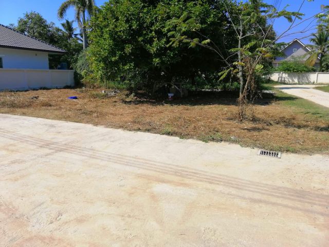 ขายที่ดิน ราคาเพียง 800,000 บาท พร้อมโอนฟรี