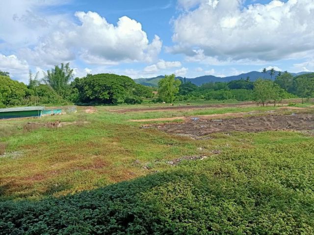 ขายที่ดิน 351 ไร่