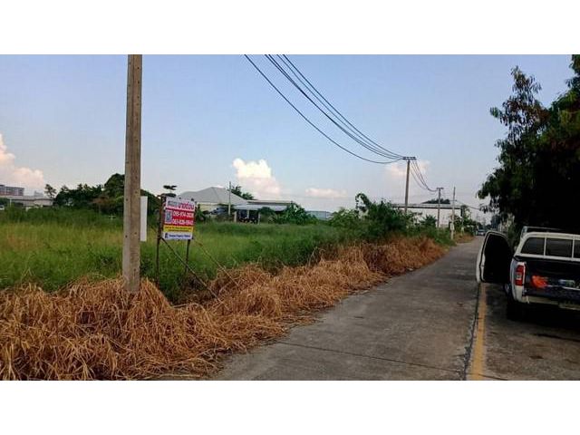 ขายที่ดินเปล่า 100-200 ตรวซ.พัฒนาชุมชน 16