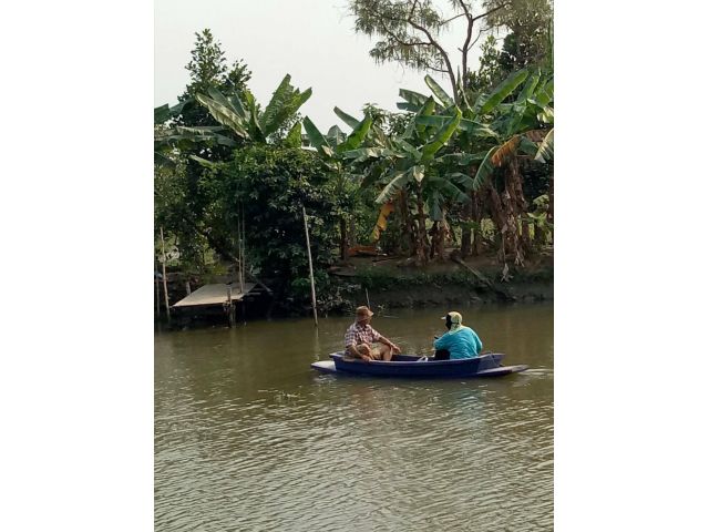 ขายที่ดิน 1 ไร่ 58 ตารางวา สำหรับทำบ้านสวน