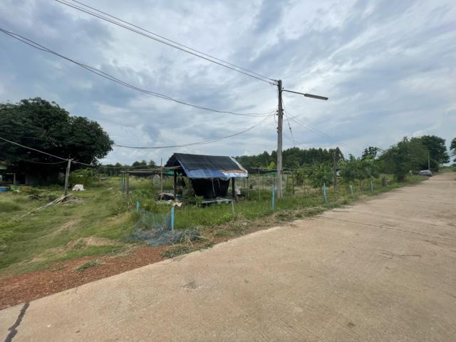 ขายที่ดินสีม่วงศรีมหาโพธิ์ 4 ไร่ ติดถนนคอนกรีต ใกล้นิคมโรจนะปราจีนบุรี - 2.1 กม. จ.ปราจีนบุรี