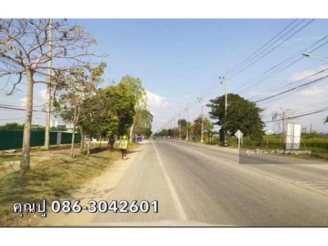 ปล่อยเช่าที่ดินโซนสีม่วง ท่าข้าม