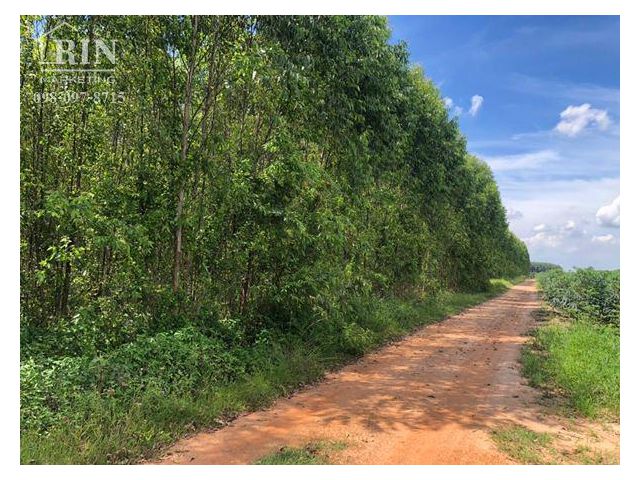ขายที่ดินพนัสนิคม ชลบุรี เดินทางสะดวก ใกล้ทางหลวงยุทธศาสตร์สัตหีบ-พนมสารคาม