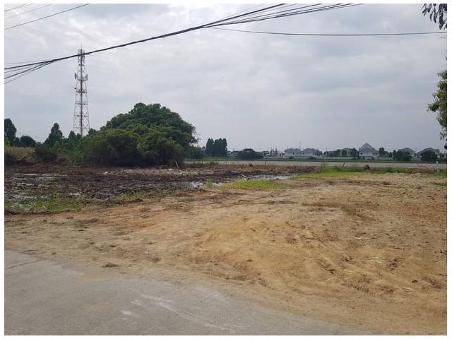 ขายที่ดินเปล่า ในซอยบางปู 111 (เพลินจิตร์) ทำเลดี