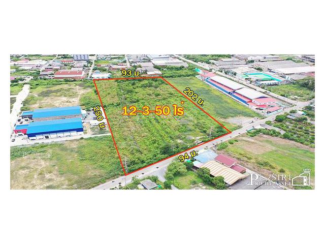 สร้างโรงงานได้ 13,000 ตร.ม. กับที่สีม่วงเกือบ 13 ไร่ ฮวงจุ้ยดีหน้ากว้าง 94 ม. หันทิศใต้ รถเทรลเลอร์เข้า ออกสะดวก ใกล้ถนน