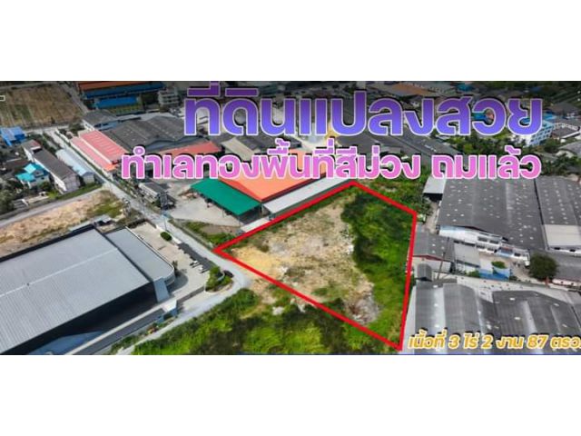 ขายที่ดินสีม่วง3-2-87ไร่  ซอยโรงงานไวไว