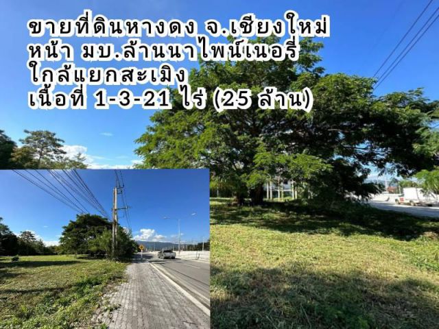ขายที่ดินหางดง ติดถนนคันคลอง ใกล้แยกสะเมิง เนื้อที่ 1-3-21 ไร่ หน้าหมู่บ้านล้านนาไพน์เนอรี่ เชียงใหม่