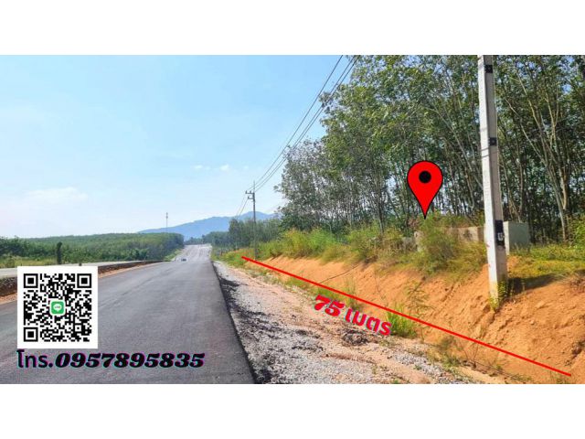 ขายที่ดินระยอง บ้านค่าย 18-3-17ไร่ ติดถนน4เลน 3471 บ้านค่าย-วังจันทร์