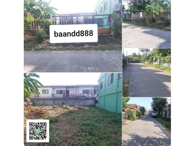 ขายที่ดิน 80 ตรว. เมืองเชียงใหม่ ทำเลดี หลัง รพ.เวชศาสตร์ ผู้สูงอายุ แม่เหี๊ยะ