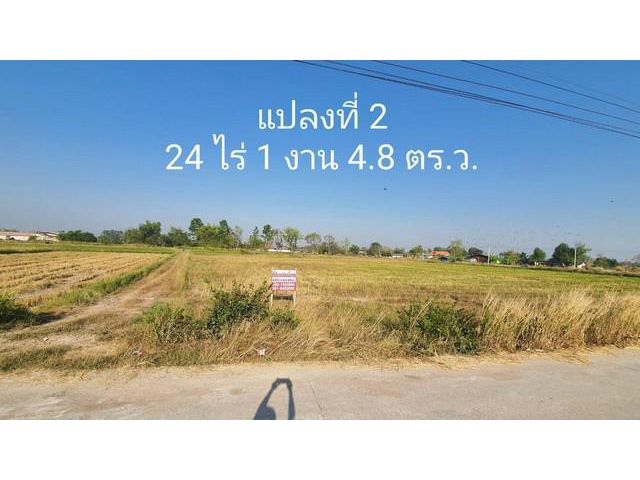ขายด่วนที่ดิน  24 ไร่ 1 งาน 4.8 ตารางวา