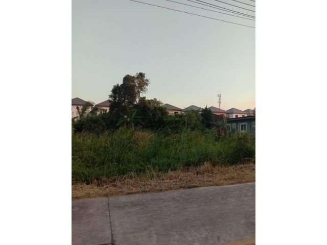 ที่ดินหนองรีติดโครงการบ้านสวนพฤกษา 1ไร่77ว. 4.5ล้าน ต.หนองรี อ.เมือง จ.ชลบุรี