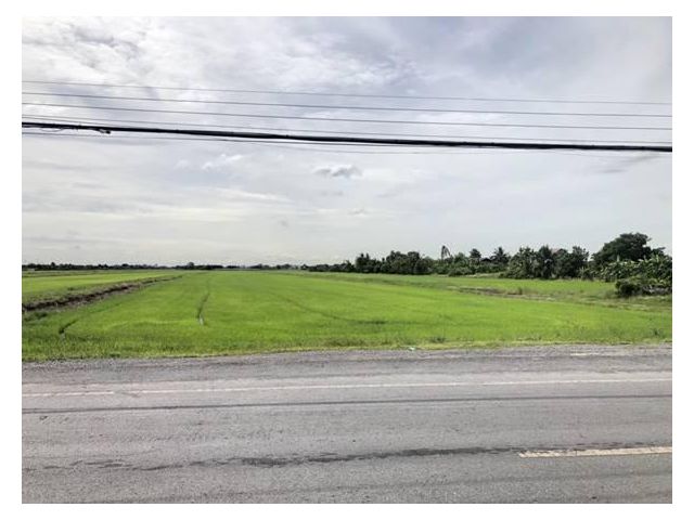 ขายที่ดิน ลำลูกกา คลอง6 ติดถนน 100 ไร่ ราคาไร่ละ 3.5 ล้านบาทv