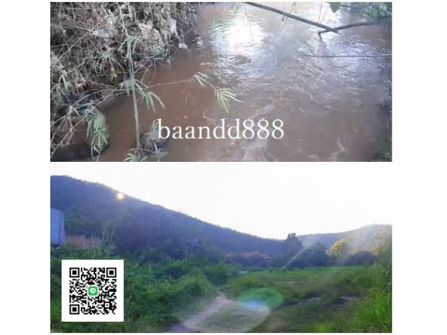 ขายที่ดิน 35 ไร่ หน้าติดถนน  ทล.1269 บ้านปง  วิวภูเขาติดลำธารแม่ท่าช้าง 300 m.