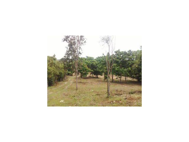 Land 933 sq.wah on the lower hill near sea  no sea view very greenery and peacefully Chumphon