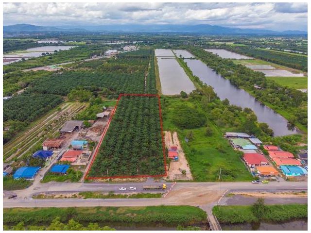 ขายที่ดินสวยติดถนนดำ 4 เลน มีโฉนด