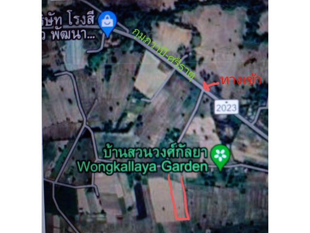 ขายที่ดิน (โฉนดพร้อมโอน)11ไร่ 93 ตรว.บ้านนาแบก หมู่17 ต.เวียงคำ อ.กุมภวาปี จ.อุดรธานี