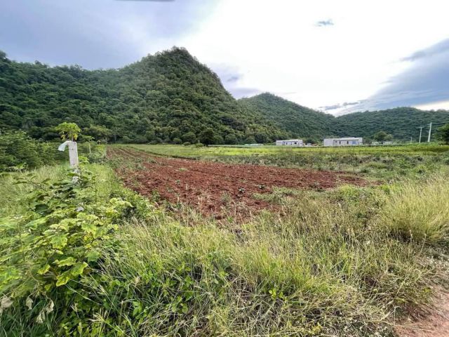 ขายที่เขาใหญ่ ที่ติดเขา 3 ไร่ เขาวง หนองน้ำแดง ที่โฉนด ติดลาดยาง วิวเขาล้อมรอบสวยมาก ที่สูง ลมเย็นสบาย ใกล้ศูนย์ผู้นำซีพ